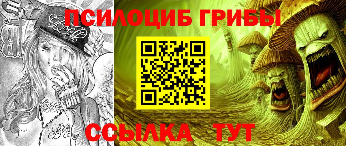 Галлюциногенные грибы Psilocybine cubensis Чистополь