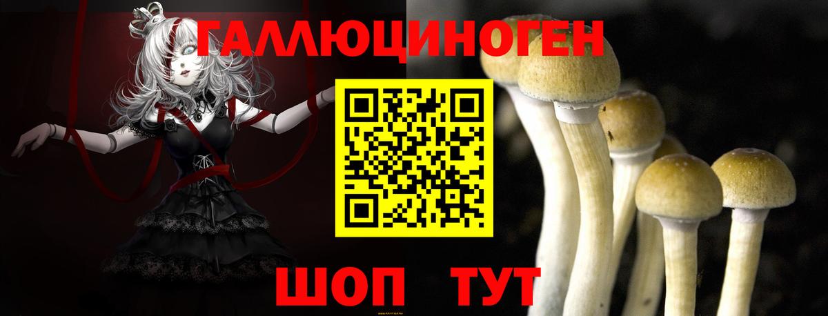 Чистополь  Галлюциногенные грибы ЛСД  Вход с VPN 